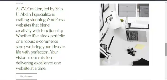 I can Stand Out Online Whit a SEO-Optimized Portfolio Website