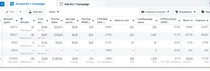 I can setup facebook ads campaign & instagram ads get sales & leads