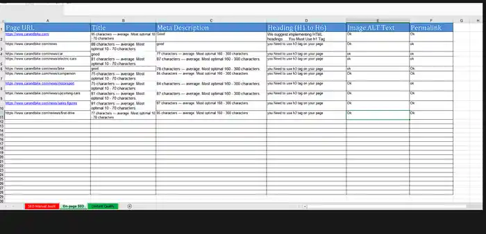 I can complete on page SEO to rank your website on google