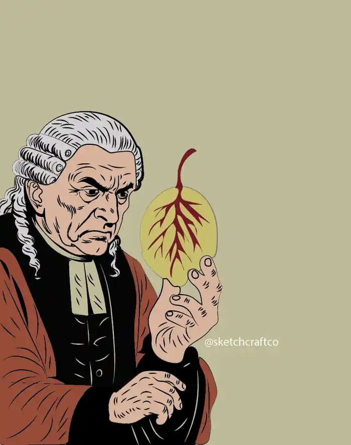I can do Vector art | Portrait | character art