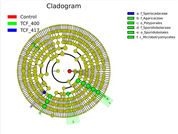 I can do ITS Amplicon Sequencing Data Analysis