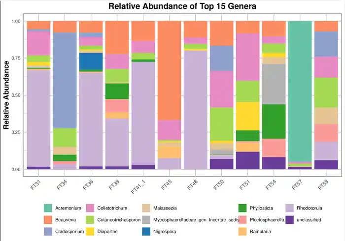 I can do ITS Amplicon Sequencing Data Analysis