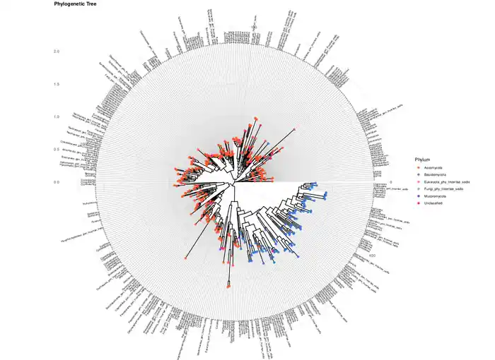 I can do ITS Amplicon Sequencing Data Analysis