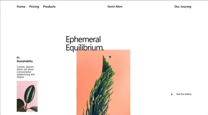 I can make a animated websites with micro interactions and smooth scroll