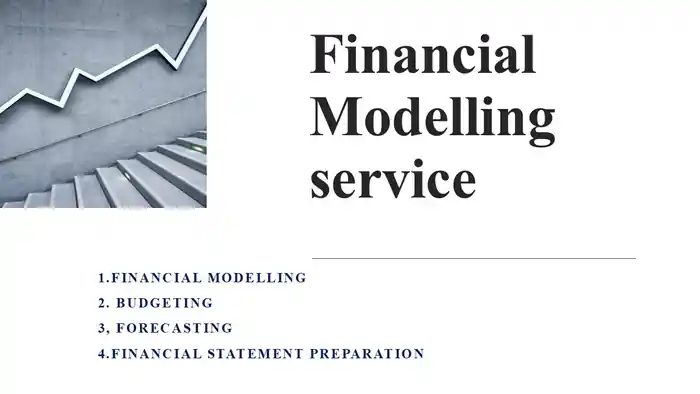 I can do Accounting and Financial Modeling