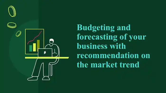 I can do Professional budgeting and custom forecasting to your business