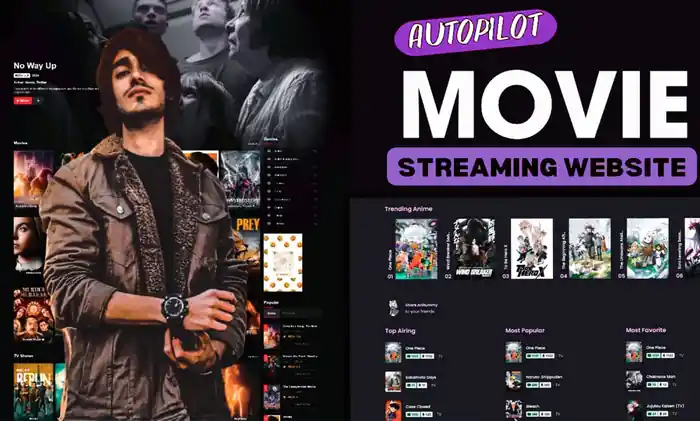 I can create a streaming website for movies and anime streaming website