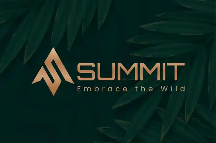 I can create Minimal logo design