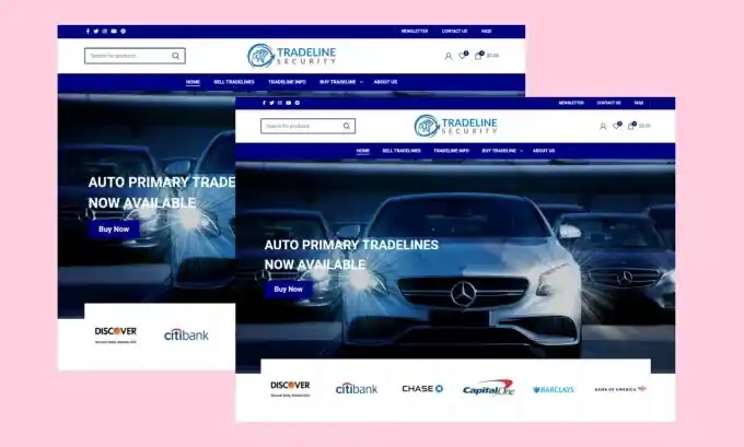 I can fix any issues or clone responsive wordpress website