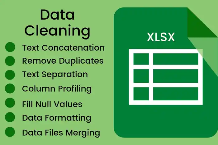 I can Do excel data cleaning and formatting