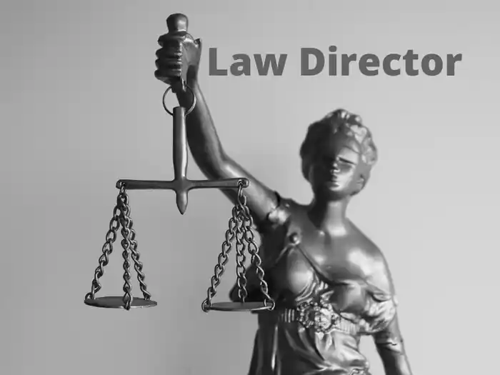 I can be as law director, administrator, advisor, counsel, jurist, & officer