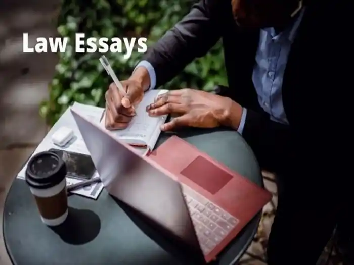I can write articles, essays, dissertations, & blog posts in the legal field