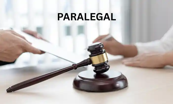I can paralegal, legal service provider, administrator, advisor & consultant