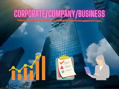 I can evaluate company business prospectus, forecast, plan, report, & ruling