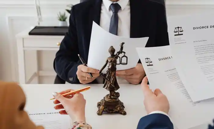 I can paralegal, legal service provider, administrator, advisor & consultant