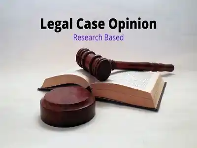 I can study a judicial court case as an expert lawyer give a legal viewpoint
