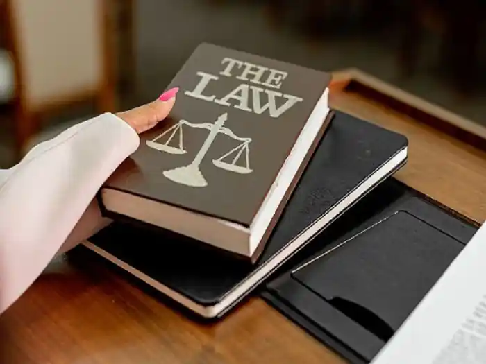 I can instruct, direct, educate, know, share, study, and teach the law field