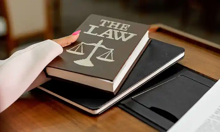 I can paralegal, legal service provider, administrator, advisor & consultant