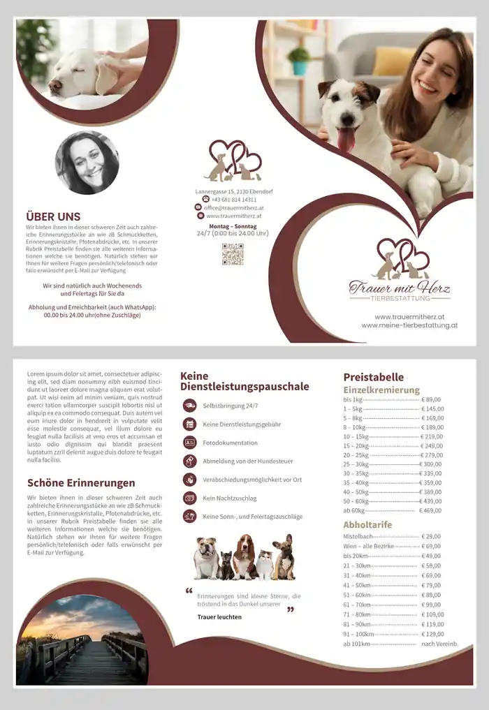 I can Design Brochure for your business