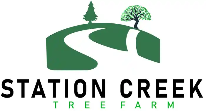 I can Design your brand logo to promote business