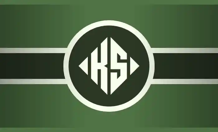 I can  design Logo and Branding for Startup