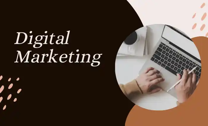 I can I can I can be your front end developer, website designer