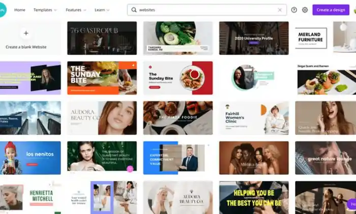 I can I will professional canva design flyers posts and presentations