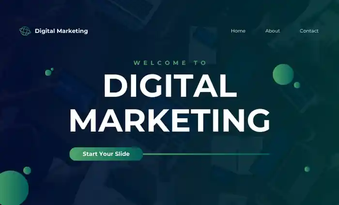 I can develop professional wordpress website with responsive design