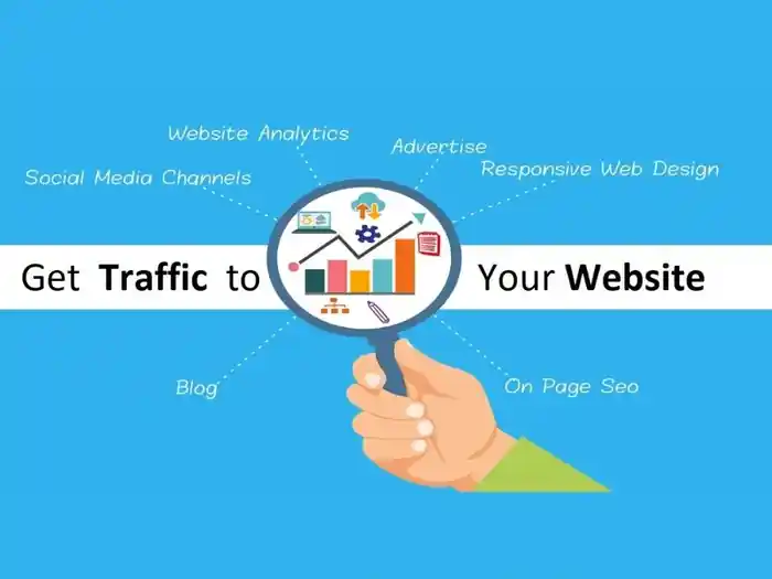 I can 100k Organic Web Traffic to boost your site