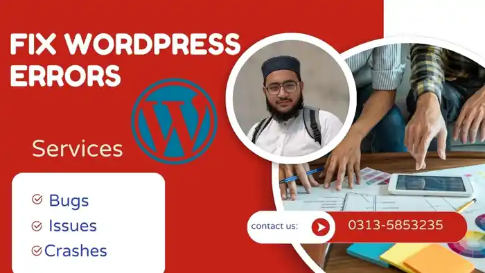 I can fix WordPress errors, bugs, and issues"