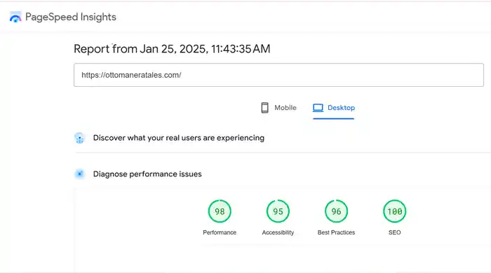 I can do website speed optimization and fix core web vitals