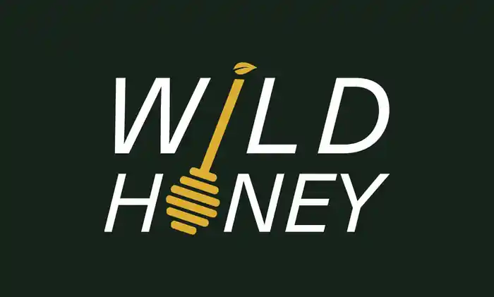 I can create wordmark, lettering, text based logo design