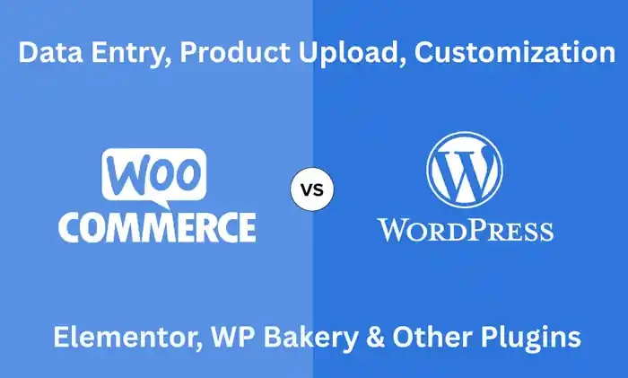 I can do accurate wordpress data entry and woocommerce product upload