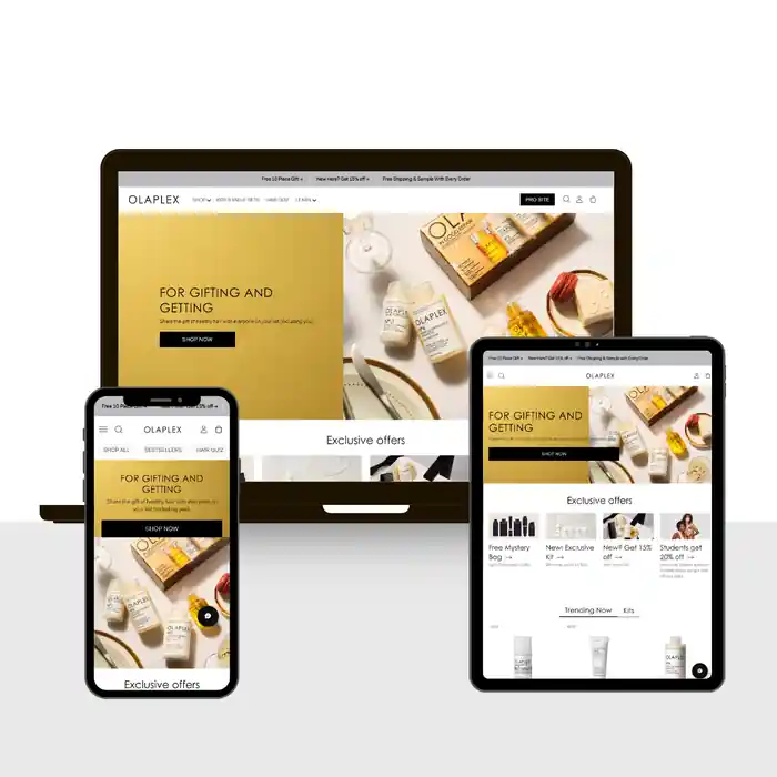 I can build wordpress ecommerce website online store using woocommerce