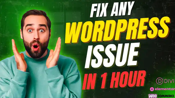 I can develop from scratch, or debug any wordpress plugin or theme