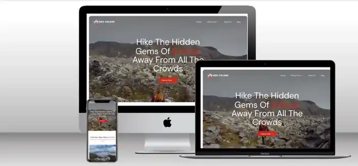 I can build any type of WordPress website | Custom & Full Stack