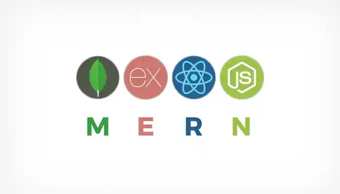 I can be your front end and backend website developer with react, nodejs