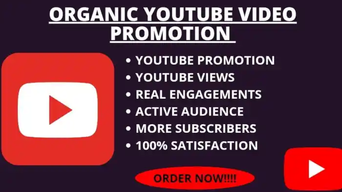 I can best organic youtube video SEO and promotion 