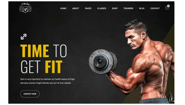 I can build design, redesign and clone wordpress website with elementor pro